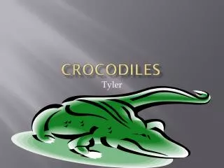 crocodiles