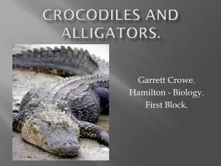 Crocodiles and Alligators.