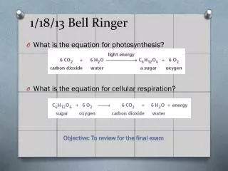 1/18/13 Bell Ringer