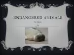 Protect Endangered Animals: Ways to Help and Importance in Ecosystem - slide 1