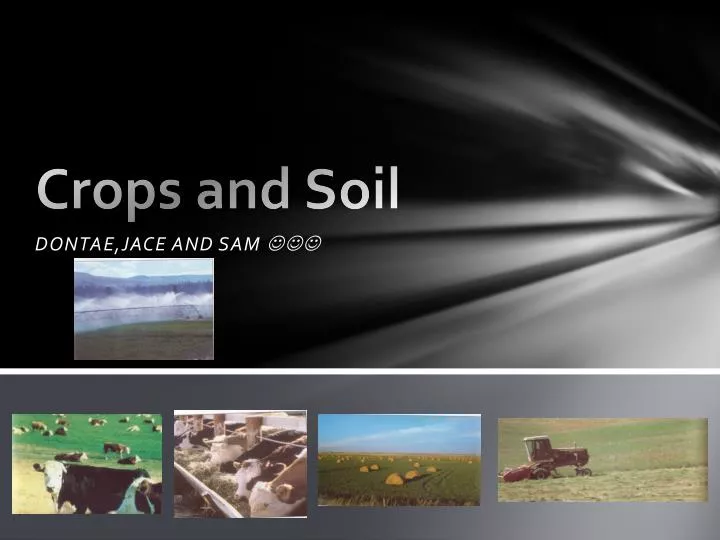 crops and soil