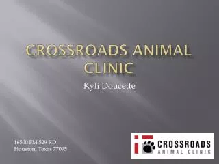 Crossroads Animal Clinic