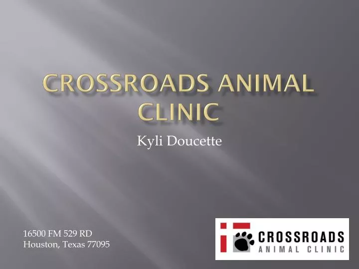 crossroads animal clinic