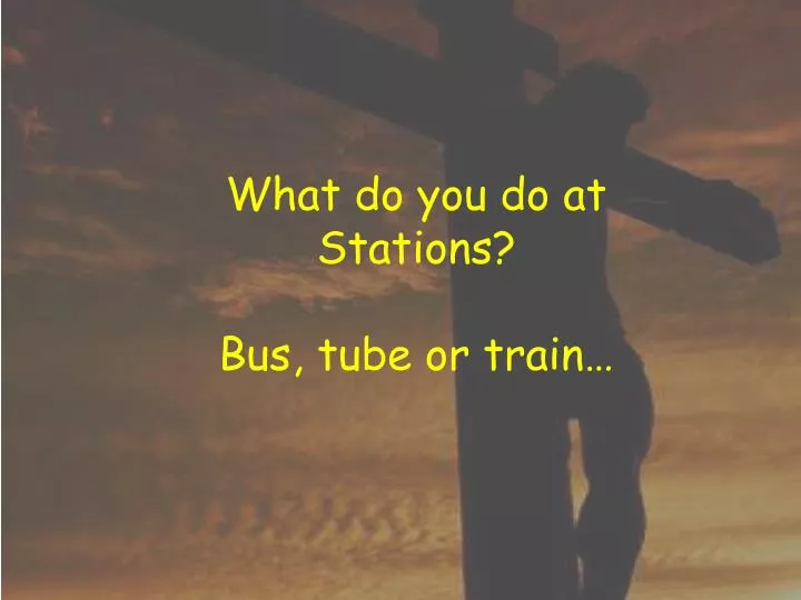 what do you do at stations bus tube or train