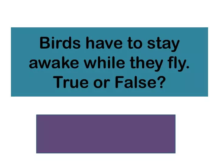 birds have to stay awake while they fly true or false