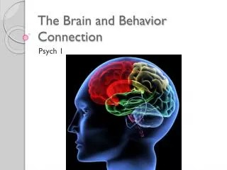 The Brain and Behavior Connection