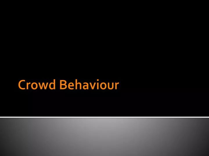 crowd behaviour