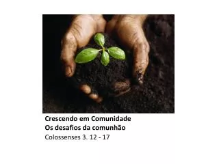 crescendo em comunidade os desafios da comunh o