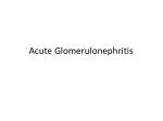 Acute Glomerulonephritis - slide 1