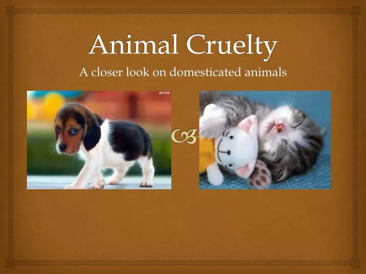 animal cruelty