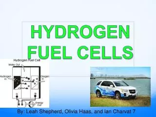 HYDROGEN FUEL CELLS