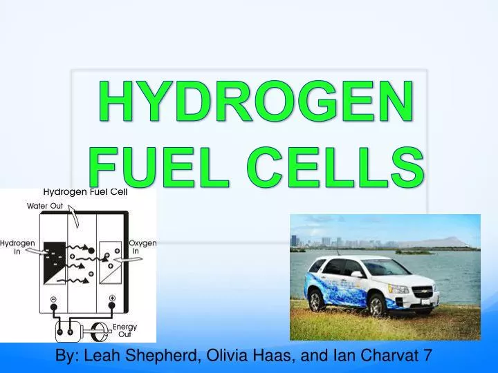 hydrogen fuel cells