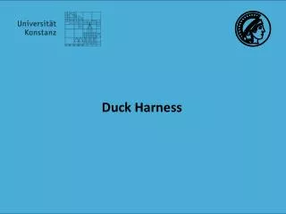 Duck Harness