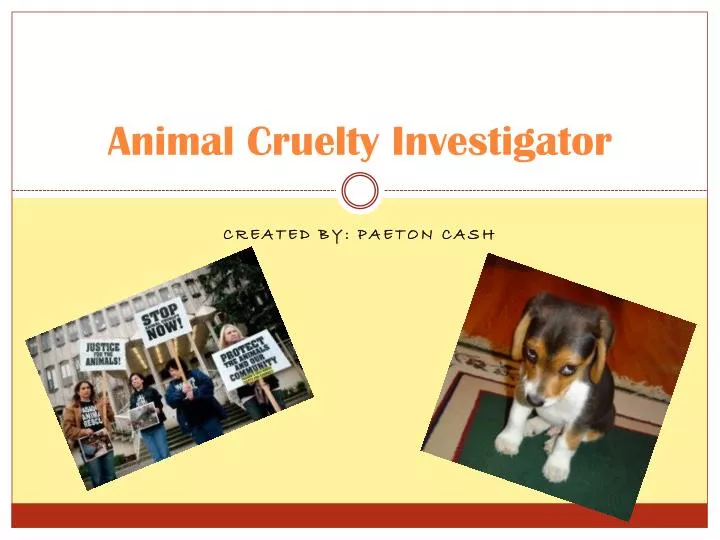 animal cruelty investigator