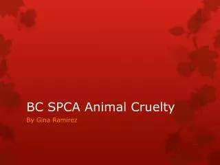 BC SPCA Animal Cruelty