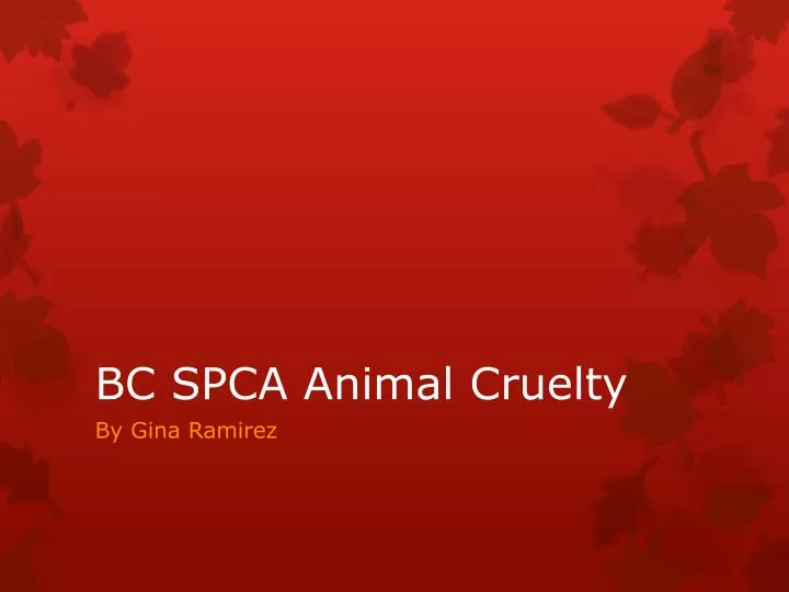 bc spca animal cruelty