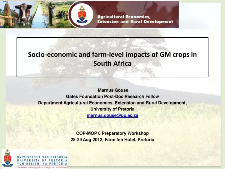 socio economic and farm level impacts of gm crops in south africa