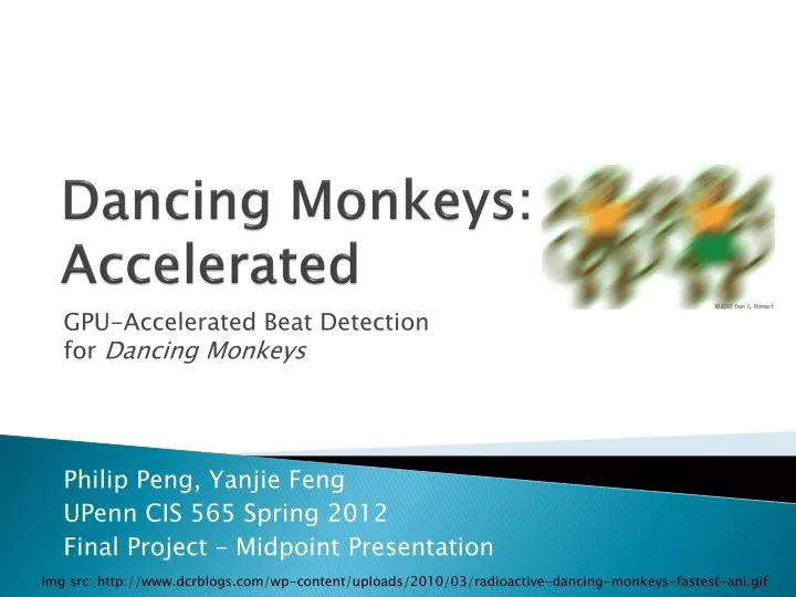dancing monkeys accelerated