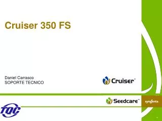 cruiser 350 fs