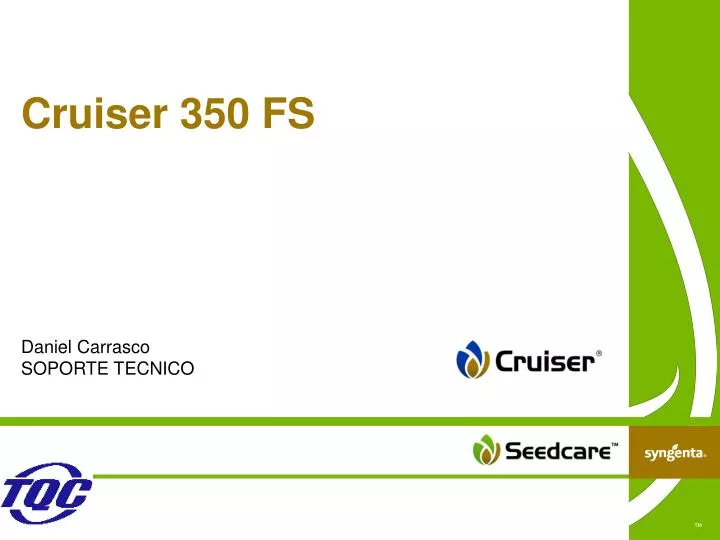 cruiser 350 fs