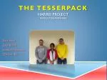 The Tesserpack Harris Project Team 3: The Avengers