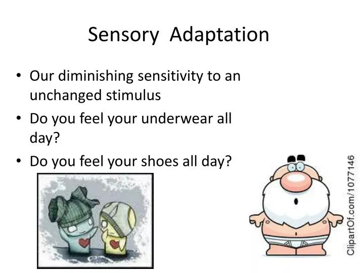 sensory adaptation
