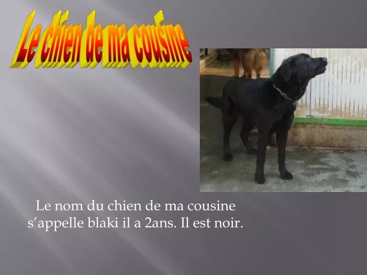 le nom du chien de ma cousine s appelle blaki il a 2ans il est noir