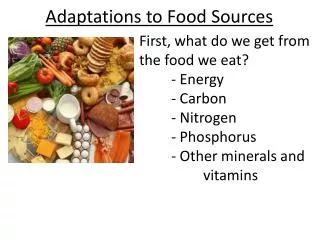 Adaptations to Food Sources