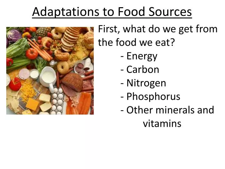 adaptations to food sources
