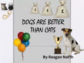 DOGS ARE BETTER THAN CATS