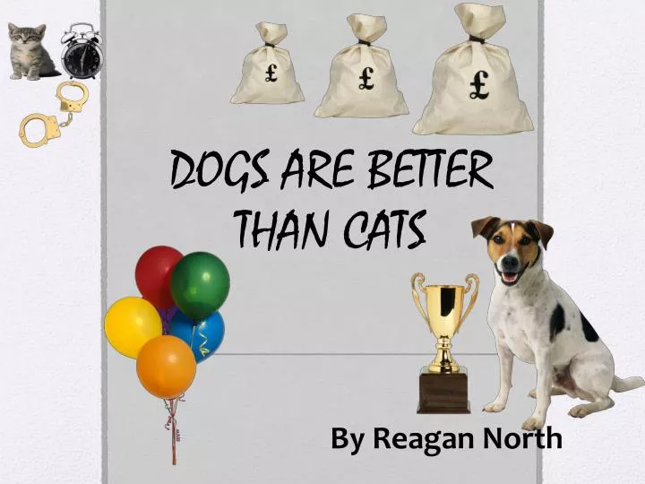 dogs are better than cats