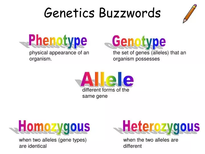 genetics buzzwords