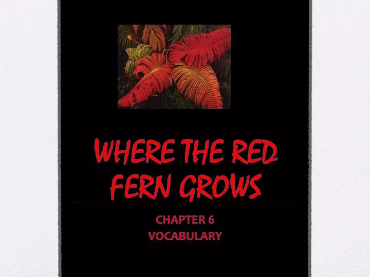 where the red fern grows