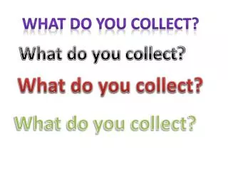 What do you collect ?
