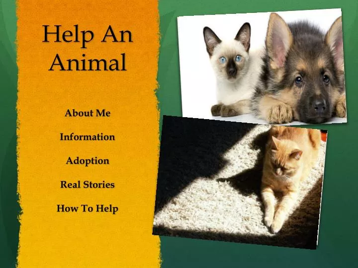help an animal