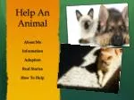 Help An Animal - slide 1
