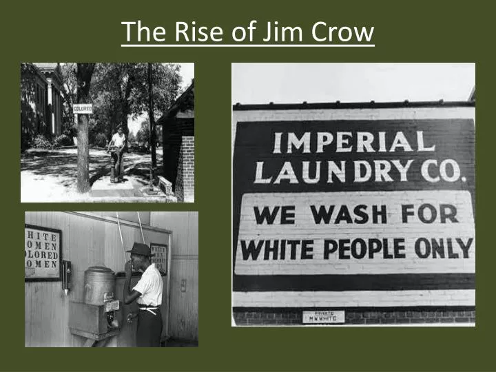 the rise of jim crow