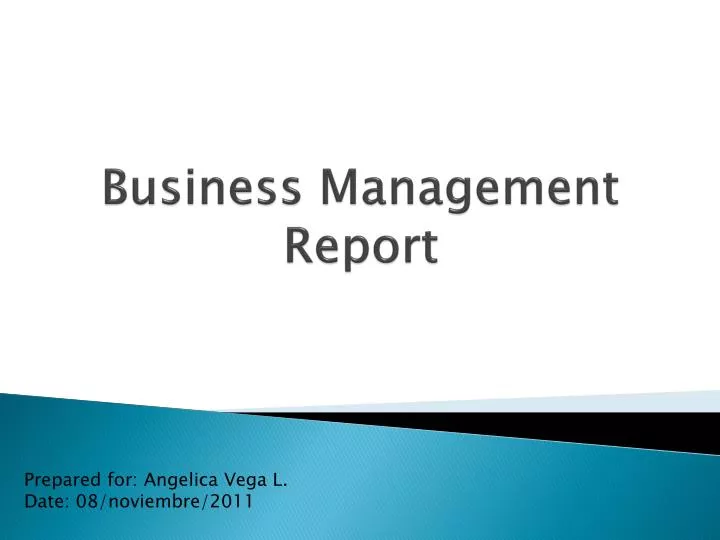 business management report