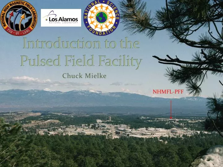 introduction to the pulsed field facility