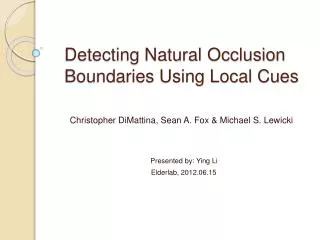 Detecting Natural Occlusion Boundaries Using Local Cues