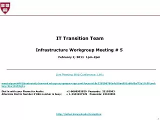IT Transition Team