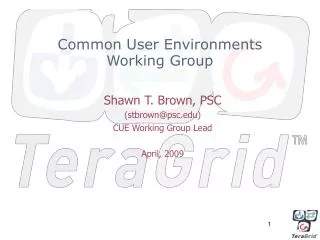Common User Environments Working Group