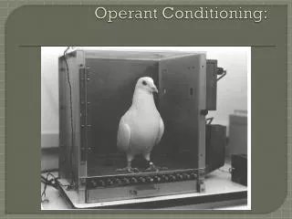 Operant Conditioning: