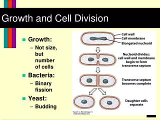 Growth and Cell Division