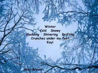 Winter Cold Snowy Sledding Shivering Drifting Crunches under my feet Kayi Miss Brooks