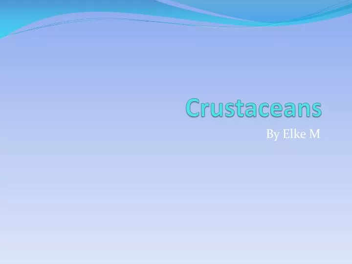 c rustaceans