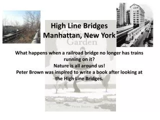 High Line Bridges Manhattan, New York