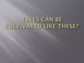 trees can be cultivated like these