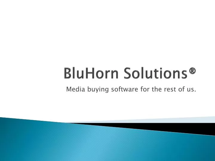 bluhorn solutions