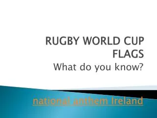 RUGBY WORLD CUP FLAGS